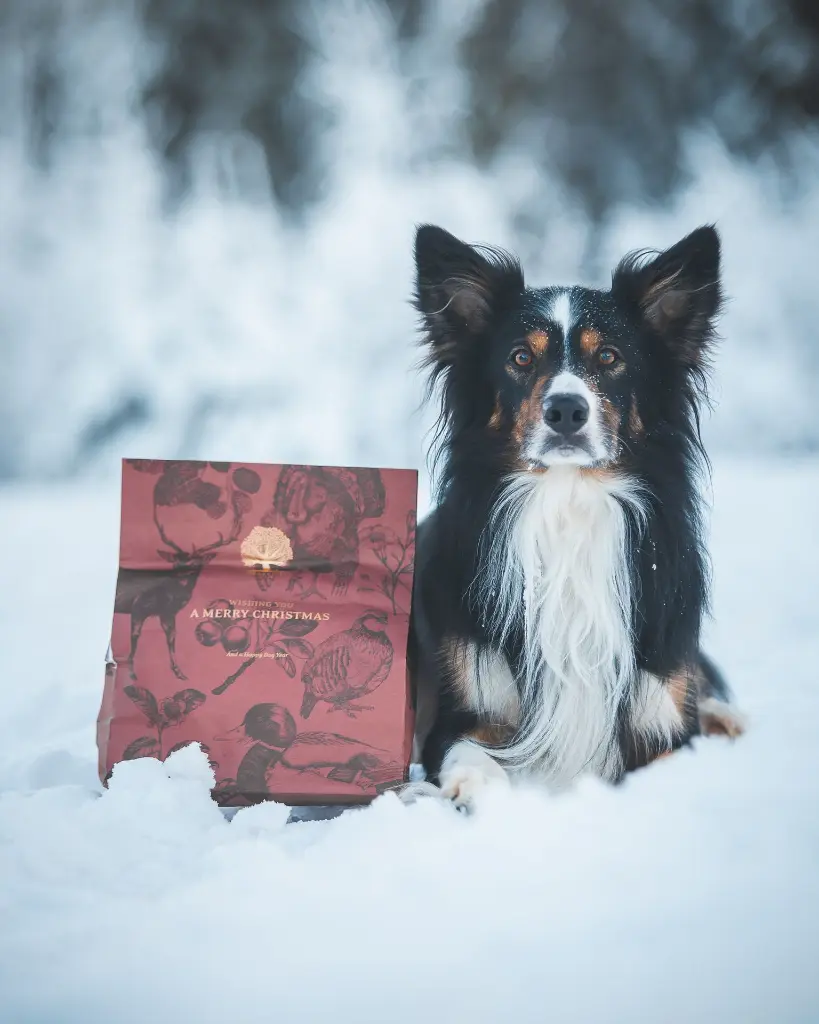 Christmas 1_ @nordictail.webp