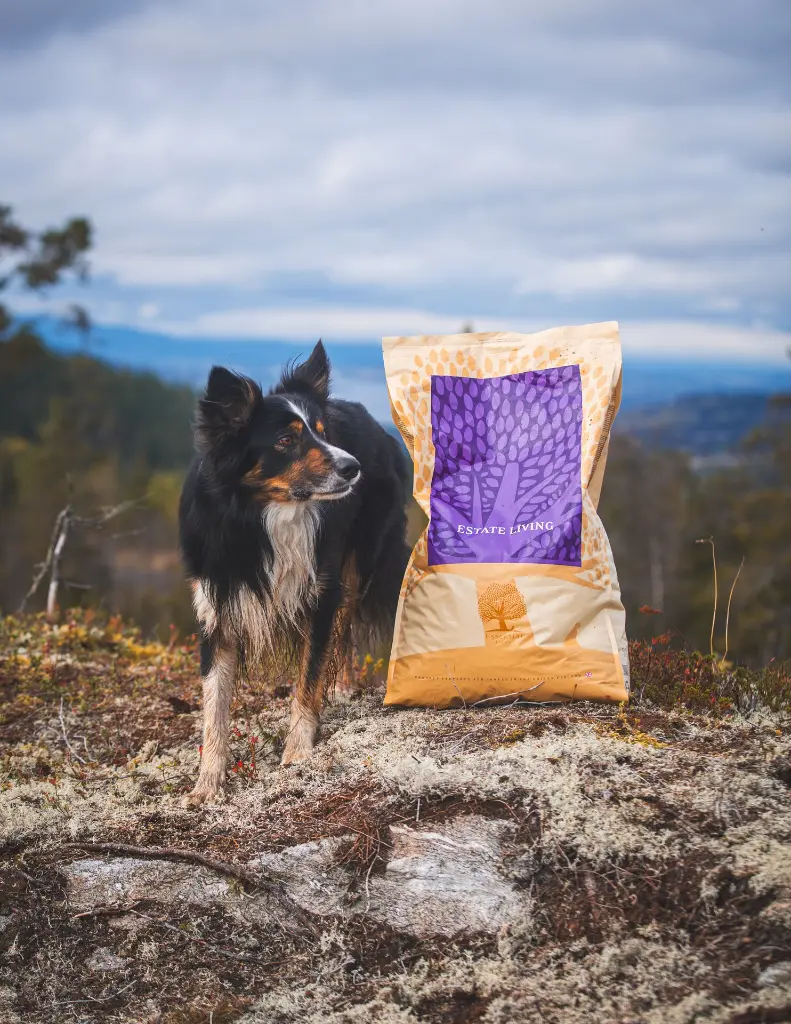 ESTATE LIVING 1 @nordictail.webp