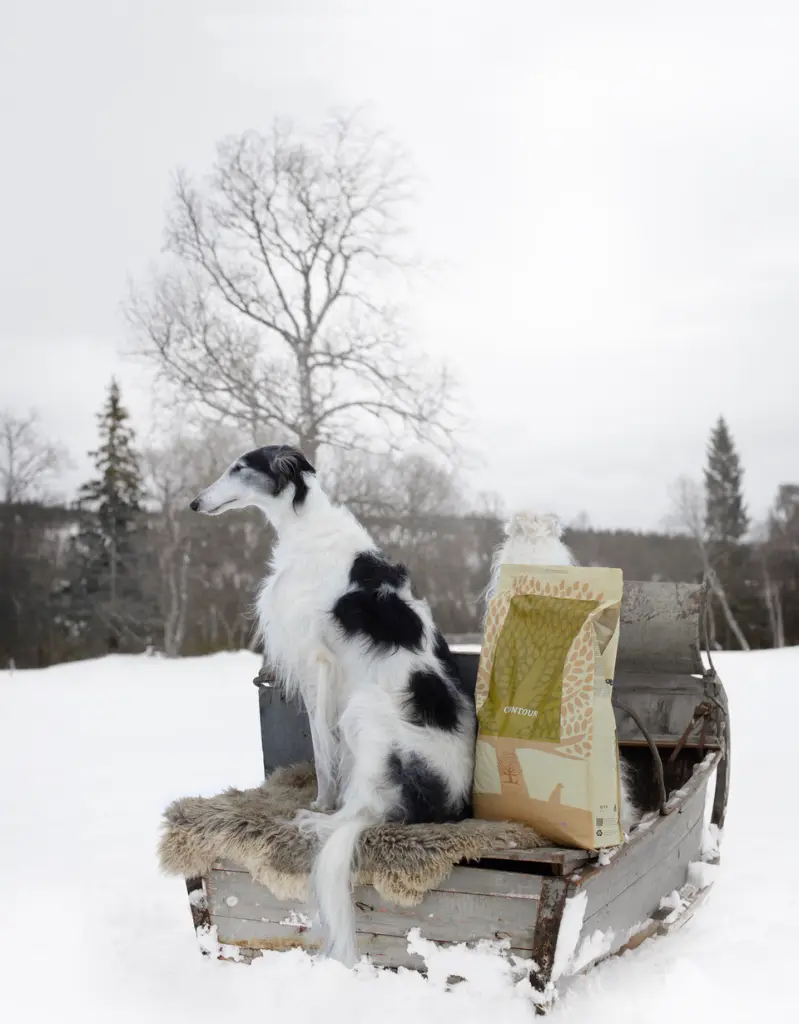 Contour Snow _ @zarwoe.oligarch.webp