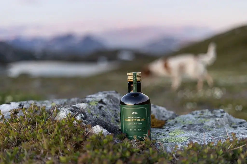 Mobility__ @vilmathedog.webp