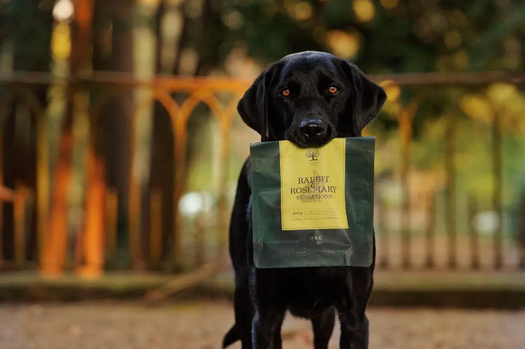 Sensations M @junior_the_copenhagen_lab.webp