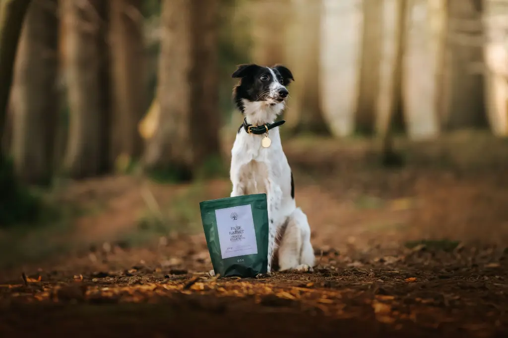 Grain Free Beef Rabbit Dental Delights 07 @whippetvilja.webp