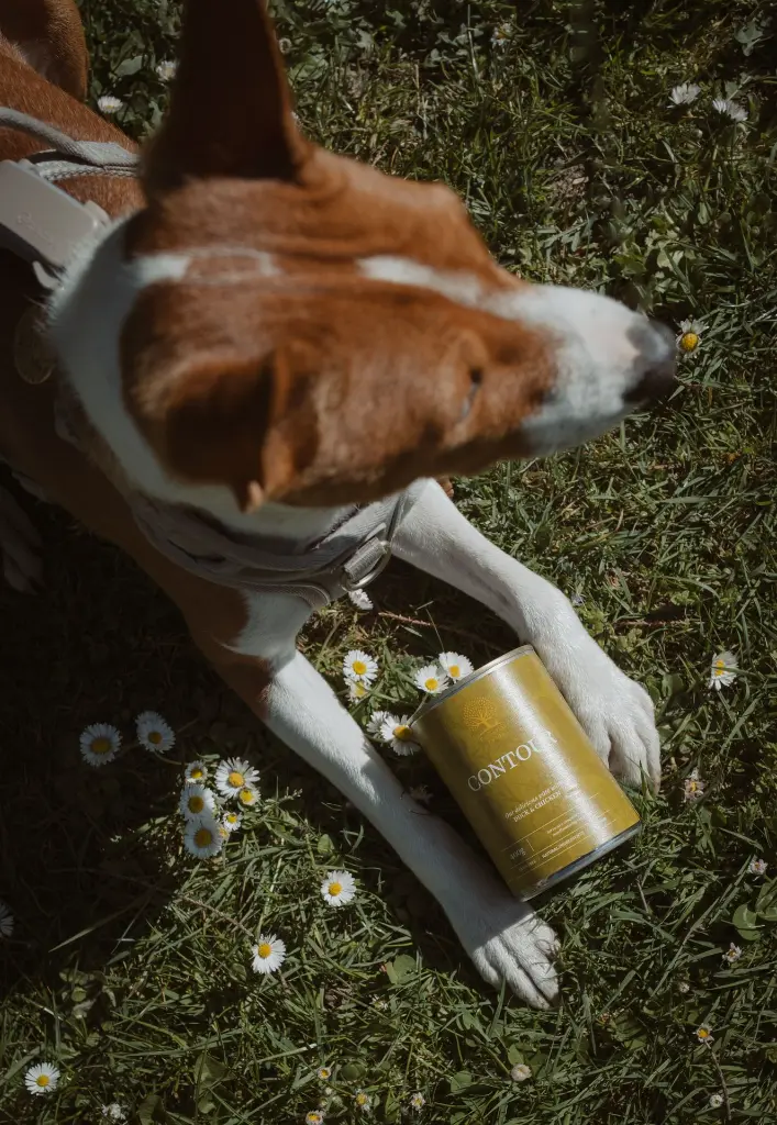 Contour A @yagohmeetstheworld.webp