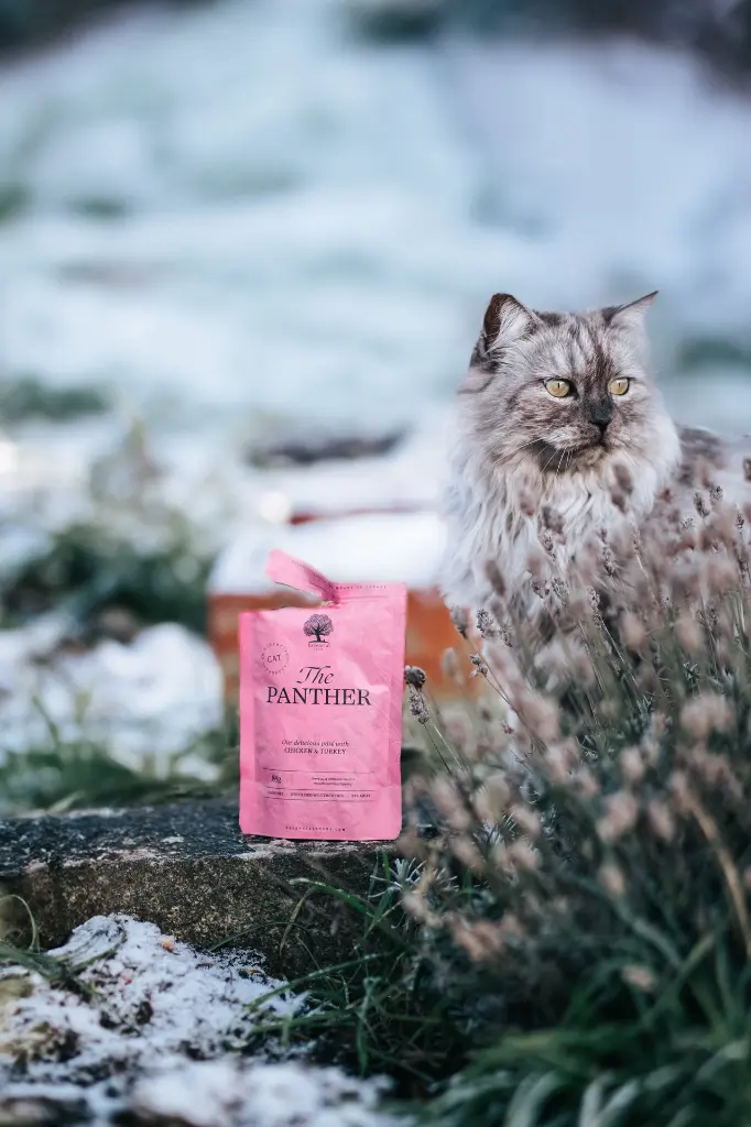 The Panther Cat from @nike.nilsson.webp