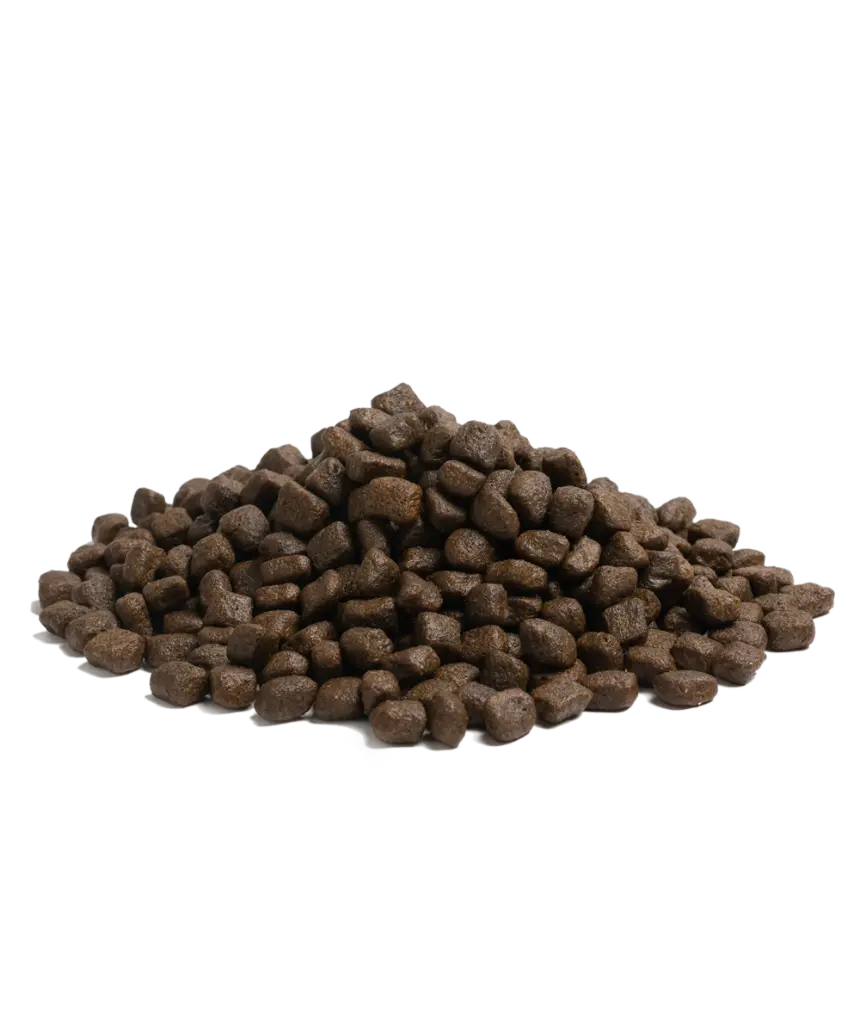 1043-4_NAUTICAL LIVING_Packshot_Kibbles 2.5KG_web_no background.webp