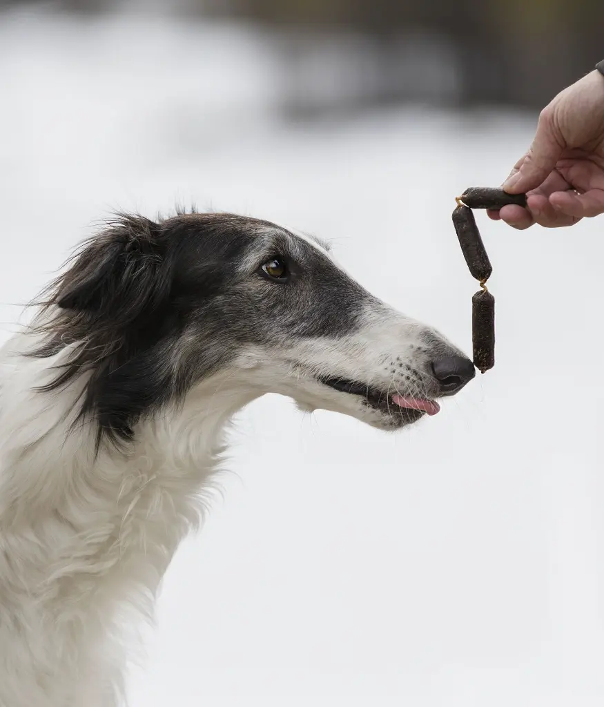 3190_ESSENTIAL FINEST VENISON & DUCK SAUSAGES_Dog getting delight_@zarwoe.oligarch.webp
