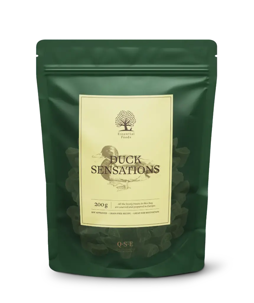 Essential Foods : Duck Sensations