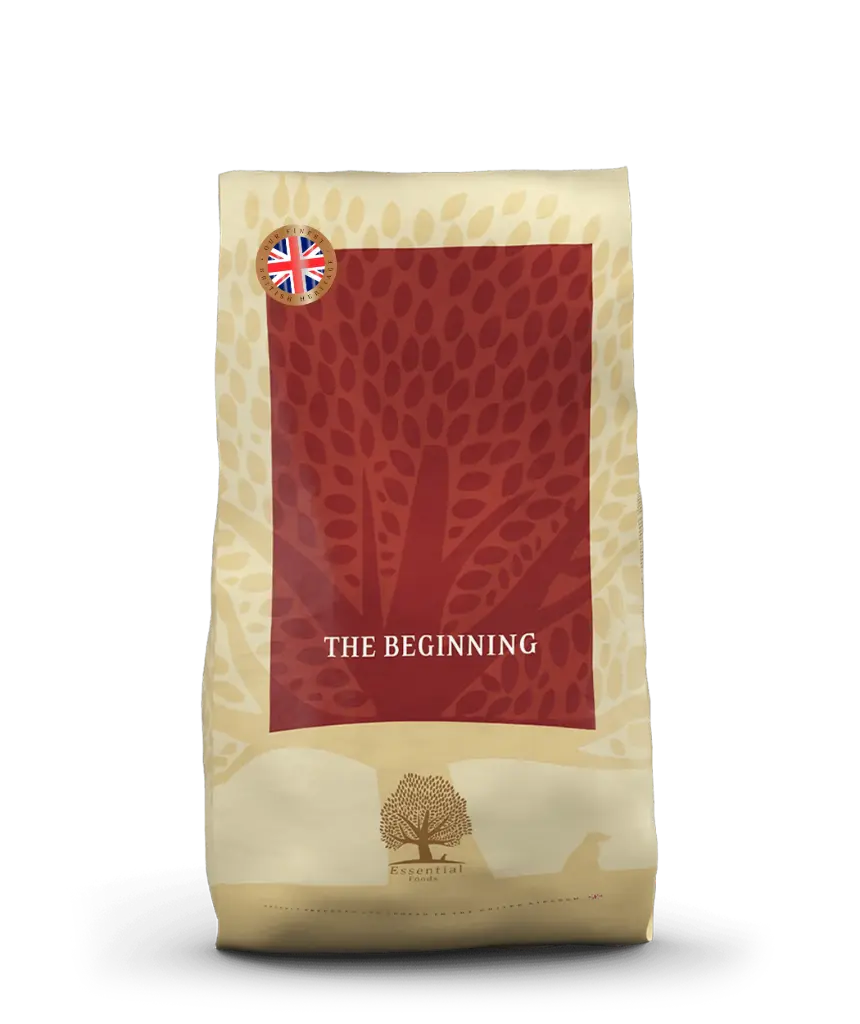 Essential Foods : The Beginning - 10 kg