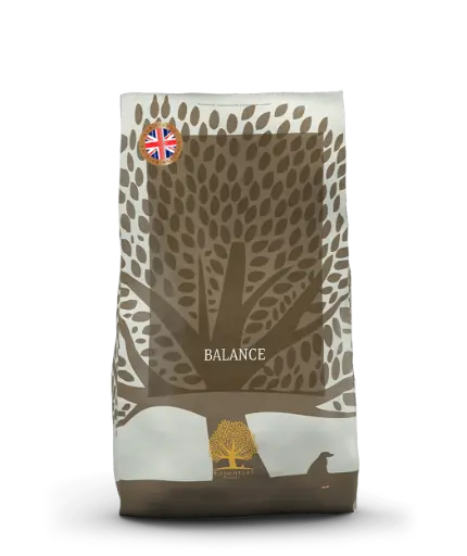 [4DC0200044] Essential Foods : Balance - 10 kg