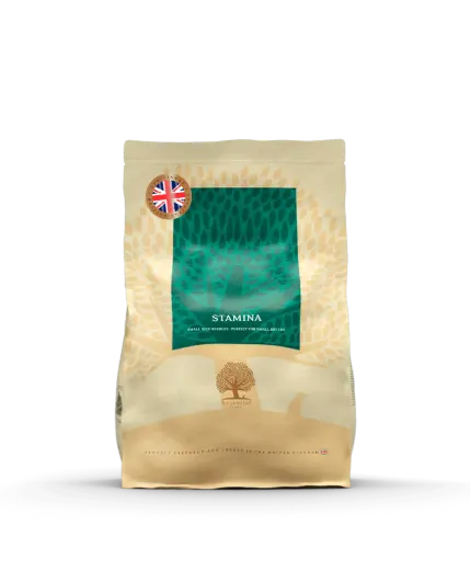 [4DC0190040] *KORTING* Essential Foods : Stamina - 2.5 kg