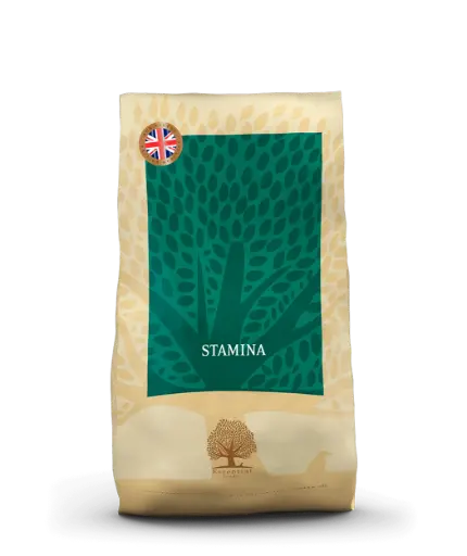[4DC0190011] Essential Foods : Stamina - 10 kg
