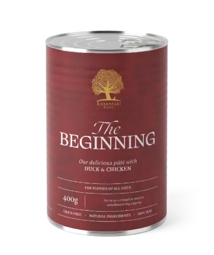 [4DC0190016] Essential Foods : The Beginning Can