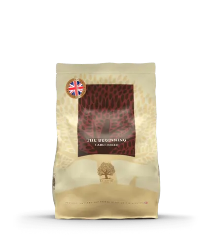 [4DC0190039] Essential Foods : The Beginning Large Breed - 2.5 kg